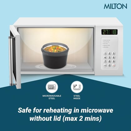 MILTON Urban Case Microwavable Lunch Box | Inner Steel, Double Wall, Leak-Proof Design | Compact & Durable Lunch Box for Office use, College, School, (2 x 320 ml)