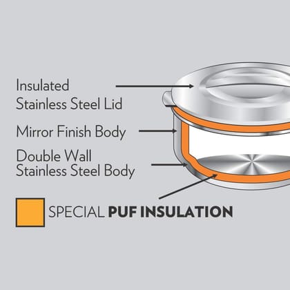 Borosil Stainless Steel Insulated Server Casserole | Hot & Cold Food Thermal Server with Steel Lid | Idli Roti Cooker | PUF Insulated | Daily Use & Gifting (3 L)